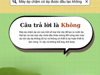 Máy ép chậm có ép được dầu lạc không? Cách ép dầu lạc đúng cách