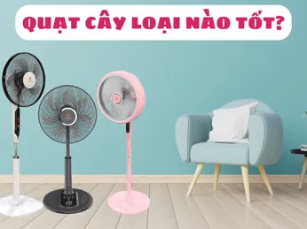 Nên Mua Quạt Cây Hãng Nào Tốt? Top Quạt Đứng Tốt Nhất Hiện Nay
