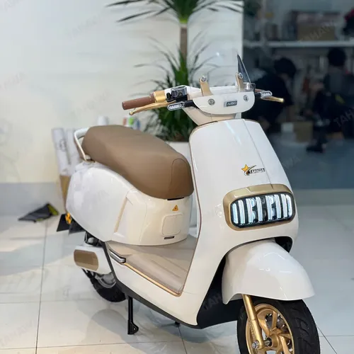 XE MÁY ĐIỆN TAHAWA TH-OSSY