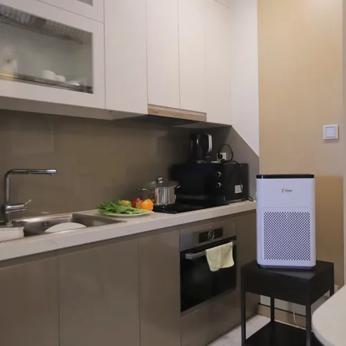 Máy Lọc Không Khí Nhật Bản Tahawa TH-AP21