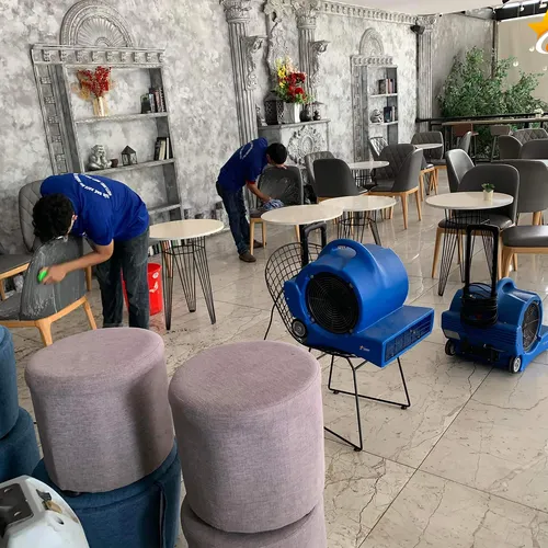 Máy Sấy Thảm Tahawa TH-1000