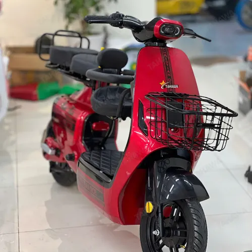 XE ĐẠP ĐIỆN TAHAWA NHẬT BẢN TH-V1