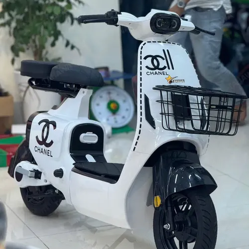 XE ĐẠP ĐIỆN TAHAWA NHẬT BẢN TH-V1