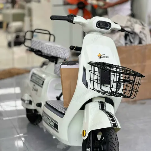 XE ĐẠP ĐIỆN TAHAWA NHẬT BẢN TH-V1