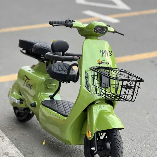 XE ĐẠP ĐIỆN TAHAWA NHẬT BẢN TH-V1