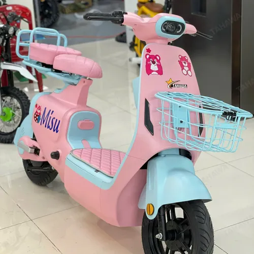 XE ĐẠP ĐIỆN TAHAWA NHẬT BẢN TH-V1