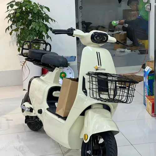 XE ĐẠP ĐIỆN TAHAWA NHẬT BẢN TH-V1