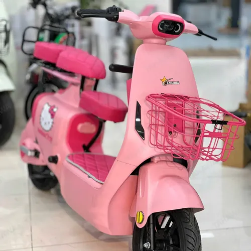 XE ĐẠP ĐIỆN TAHAWA NHẬT BẢN TH-V1