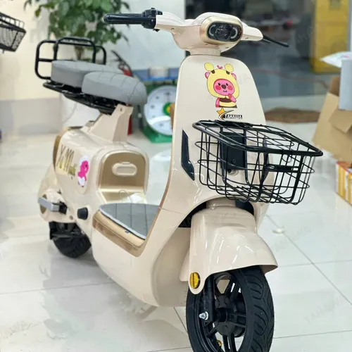 XE ĐẠP ĐIỆN TAHAWA NHẬT BẢN TH-V1