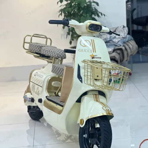 XE ĐẠP ĐIỆN TAHAWA NHẬT BẢN TH-V1