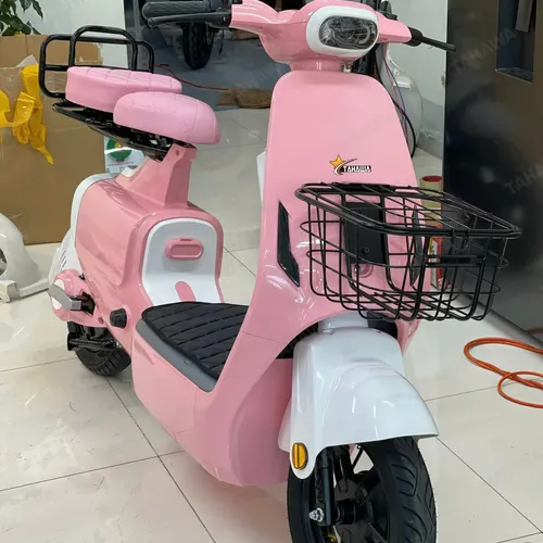 XE ĐẠP ĐIỆN TAHAWA NHẬT BẢN TH-V1