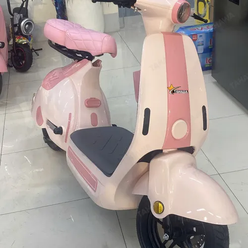 Xe Đạp Điện Tahawa TH-Z3