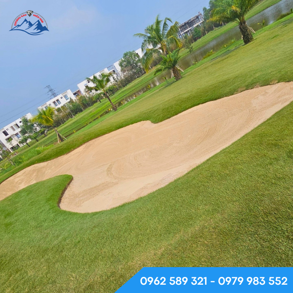 Cát trắng dùng để trang trí sân golf Cát trắng dùng để trang trí sân golf