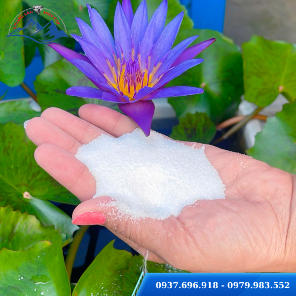 cát thạch anh giá tốt cát thạch anh giá tốt