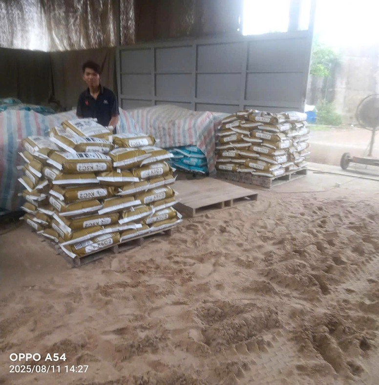 keo dán gạch cá sấu keo dán gạch cá sấu