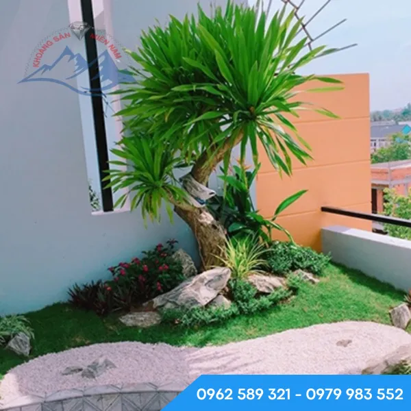 Cát làm tiểu cảnh sân vườn