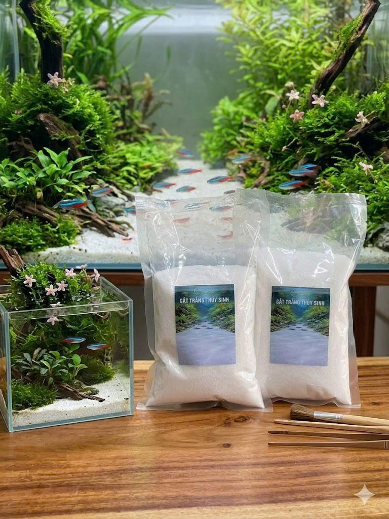 cát thủy sinh hồ cá cát thủy sinh hồ cá