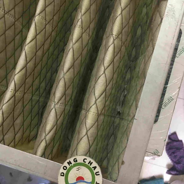 Khung lọc khí thô F8