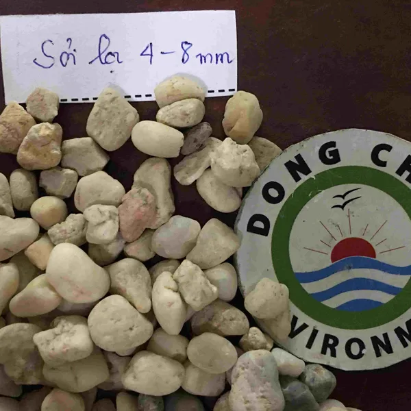 Sỏi đệm 4-8 mm