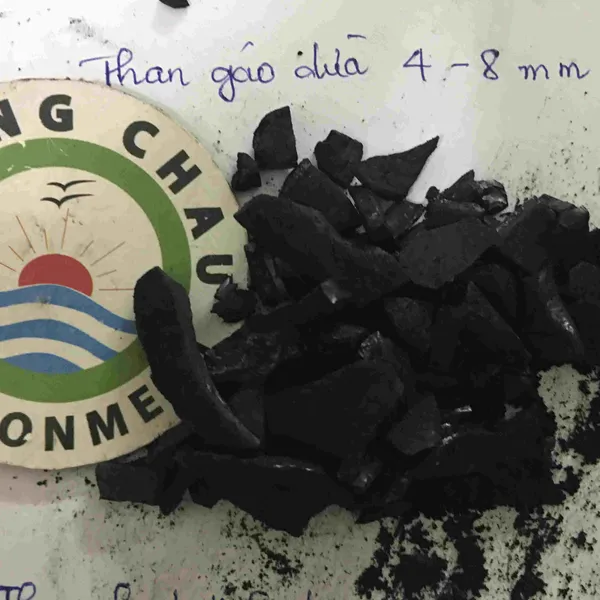 Than Hoạt Tính Gáo Dừa: Giải Pháp Lọc Tối Ưu Cho Môi Trường Sạch