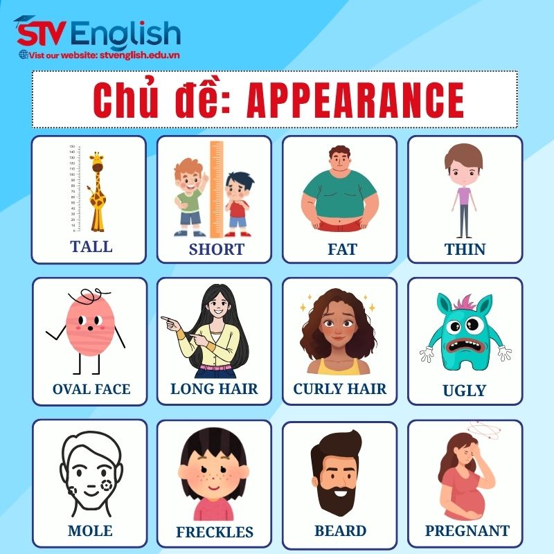 Từ vựng tiếng Anh giao tiếp cho bé: Chủ đề Appearance (Ngoại hình) Từ vựng tiếng Anh giao tiếp cho bé: Chủ đề Appearance (Ngoại hình)