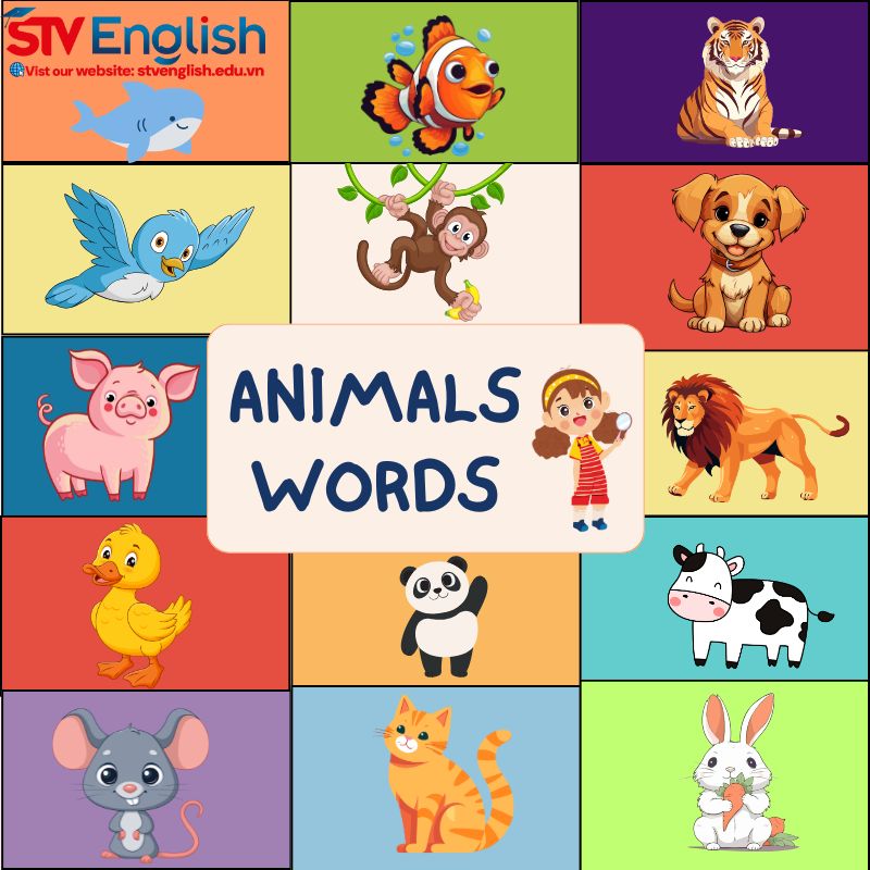 Từ vựng tiếng Anh cho bé 5 tuổi: Chủ đề Animal Từ vựng tiếng Anh cho bé 5 tuổi: Chủ đề Animal