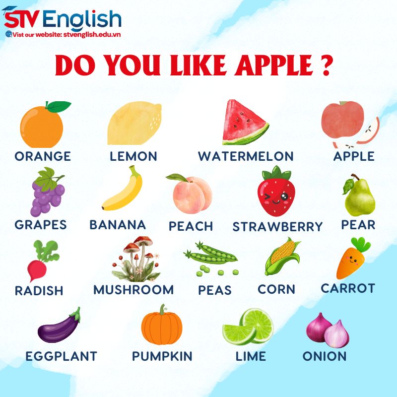 Từ vựng tiếng Anh cho bé 5 tuổi: Chủ đề Food Từ vựng tiếng Anh cho bé 5 tuổi: Chủ đề Food