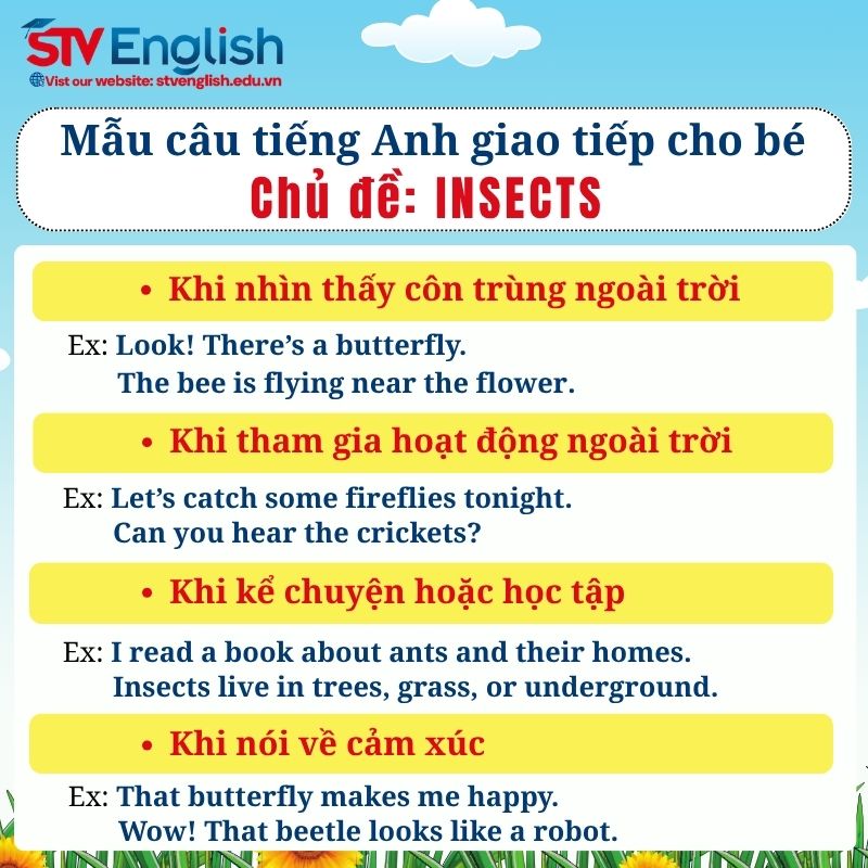 Mẫu câu tiếng Anh giao tiếp cho bé: Chủ đề Insects (Côn trùng) Mẫu câu tiếng Anh giao tiếp cho bé: Chủ đề Insects (Côn trùng)