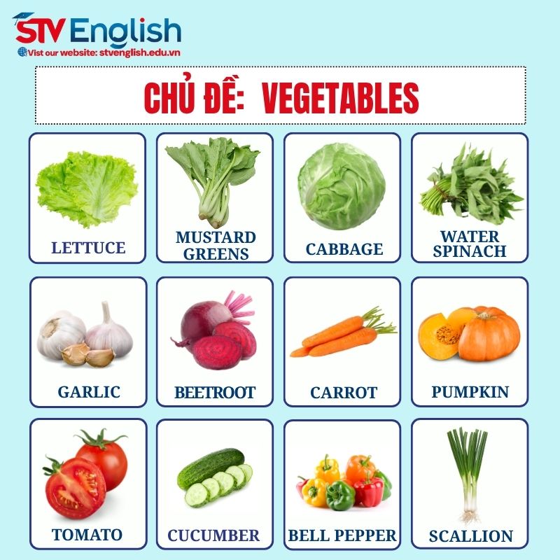 Từ vựng tiếng Anh giao tiếp cho bé: Chủ đề Vegetables Từ vựng tiếng Anh giao tiếp cho bé: Chủ đề Vegetables