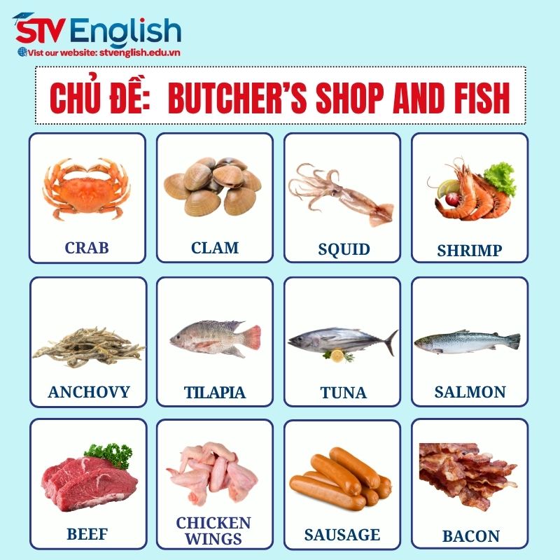 Từ vựng tiếng Anh giao tiếp cho bé: Chủ đề Butcher's Shop and Fish Từ vựng tiếng Anh giao tiếp cho bé: Chủ đề Butcher's Shop and Fish