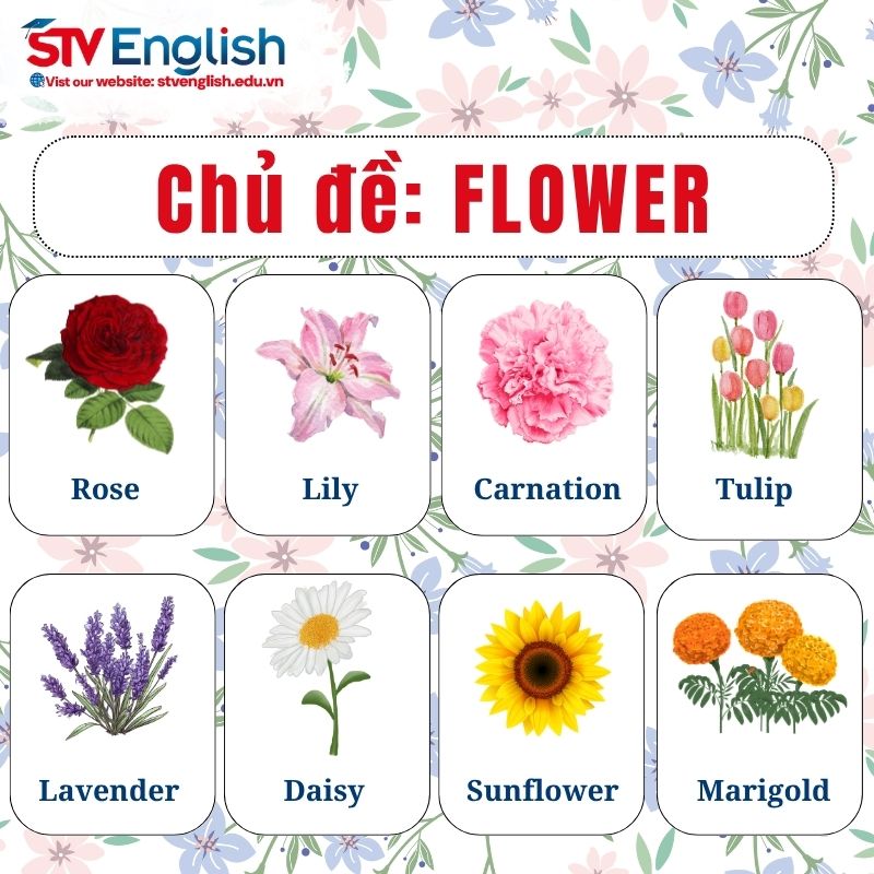 Từ vựng tiếng Anh giao tiếp cho trẻ em: Chủ đề Flowers Từ vựng tiếng Anh giao tiếp cho trẻ em: Chủ đề Flowers