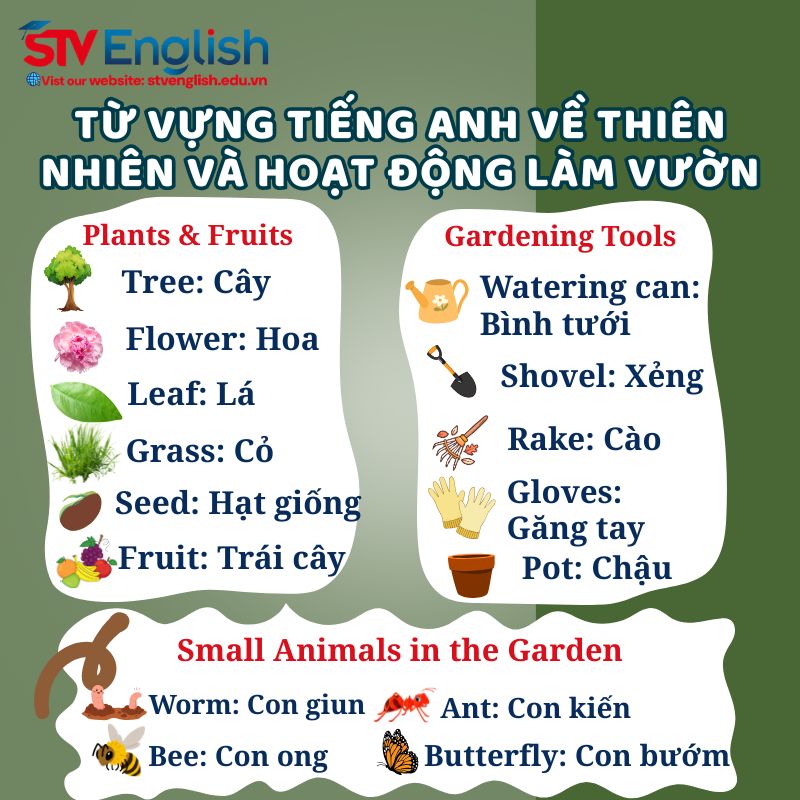 Từ vựng tiếng Anh cho bé 6 tuổi về chủ đề thiên nhiên và hoạt động làm vườn. Từ vựng tiếng Anh cho bé 6 tuổi về chủ đề thiên nhiên và hoạt động làm vườn.
