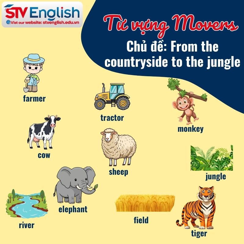 Từ vựng Cambridge Movers: Chủ đề "From the countryside to the jungle" Từ vựng Cambridge Movers: Chủ đề "From the countryside to the jungle"