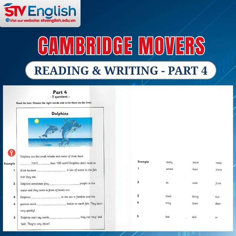 Reading Movers Part 4 (Test 2) Reading Movers Part 4 (Test 2)
