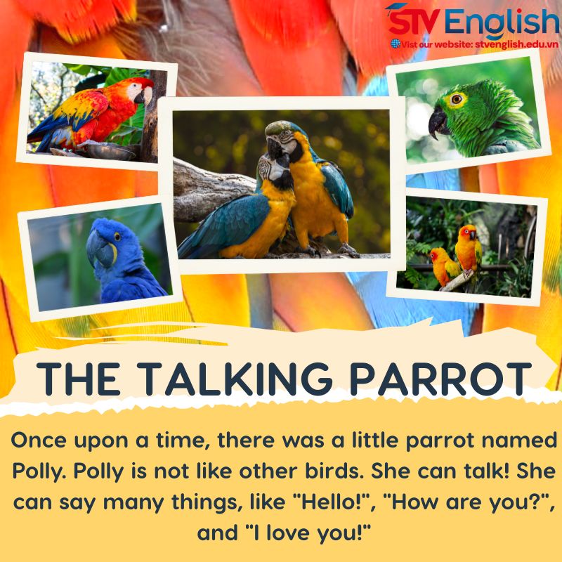 Thuyết trình tiếng Anh cho bé mới bắt đầu: Câu chuyện "The talking parrot" Thuyết trình tiếng Anh cho bé mới bắt đầu: Câu chuyện "The talking parrot"