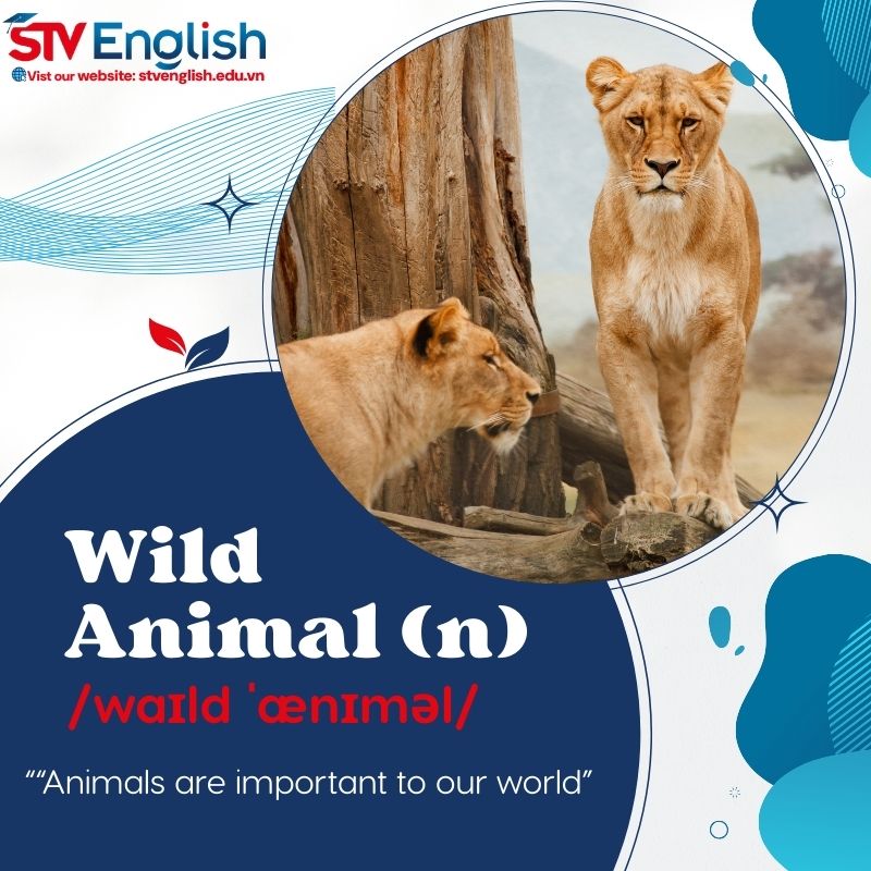 Tiếp cận các bài thuyết trình tiếng Anh về chủ đề Animals Tiếp cận các bài thuyết trình tiếng Anh về chủ đề Animals