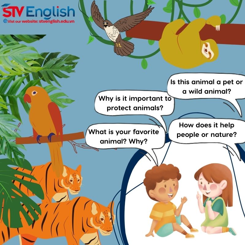 Các câu hỏi và từ vựng về chủ đề Animal Các câu hỏi và từ vựng về chủ đề Animal