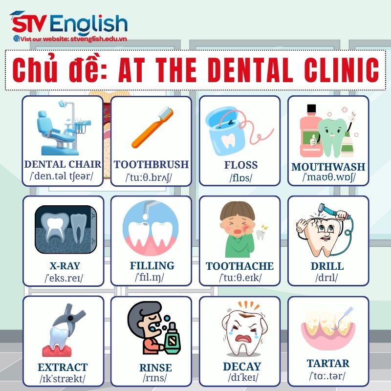 Từ vựng tiếng Anh giao tiếp cho bé qua chủ đề “At the Dental Clinic” Từ vựng tiếng Anh giao tiếp cho bé qua chủ đề “At the Dental Clinic”