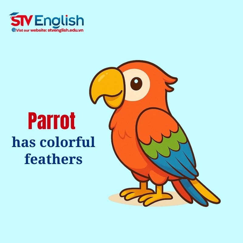 Khám phá từ vựng tiếng Anh giao tiếp cho bé qua chủ đề “Birds” sinh động Khám phá từ vựng tiếng Anh giao tiếp cho bé qua chủ đề “Birds” sinh động