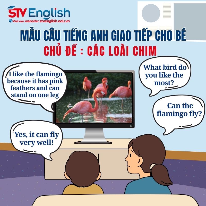 Mẫu hội thoại tiếng Anh giao tiếp cho bé: chủ đề “Birds” Mẫu hội thoại tiếng Anh giao tiếp cho bé: chủ đề “Birds”