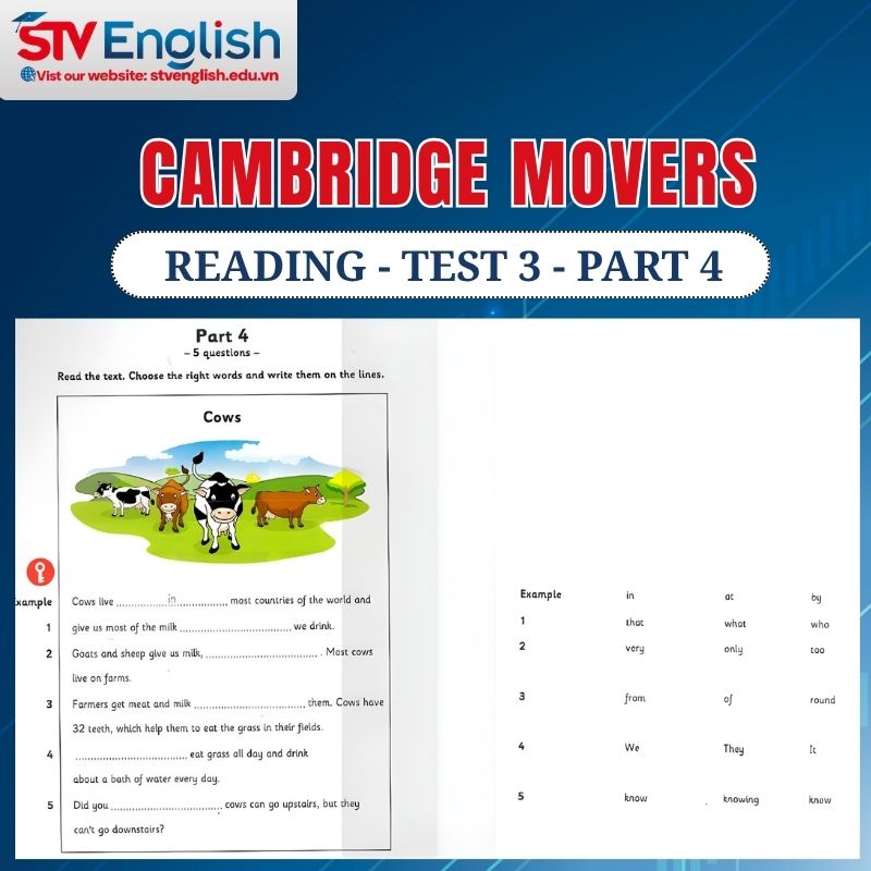 Reading Movers Part 4 (Test 3) Reading Movers Part 4 (Test 3)