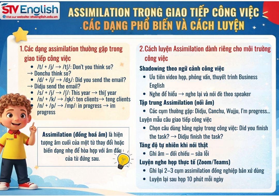 Assimilation trong giao tiếp công việc: Thành thạo tiếng Anh Assimilation trong giao tiếp công việc: Thành thạo tiếng Anh