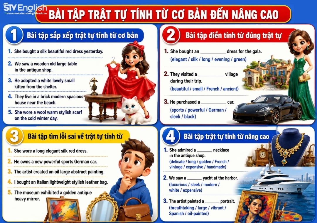 Bài tập trật tự tính từ cơ bản đến nâng cao Bài tập trật tự tính từ cơ bản đến nâng cao