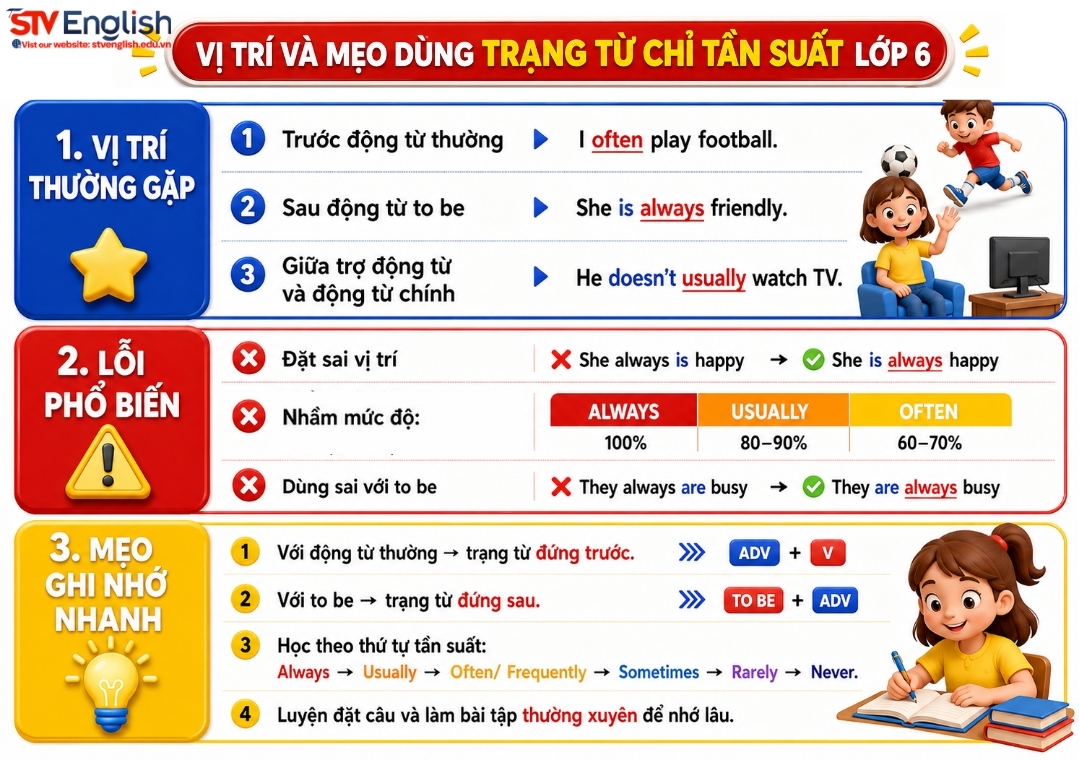 Vị trí và mẹo làm bài tập về trạng từ chỉ tần suất lớp 6 Vị trí và mẹo làm bài tập về trạng từ chỉ tần suất lớp 6