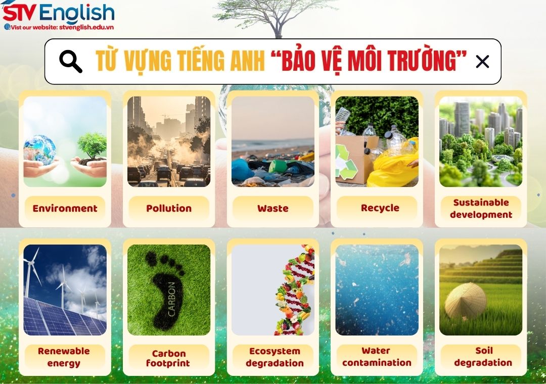 Từ vựng cho bài thuyết trình tiếng Anh bảo vệ môi trường Từ vựng cho bài thuyết trình tiếng Anh bảo vệ môi trường