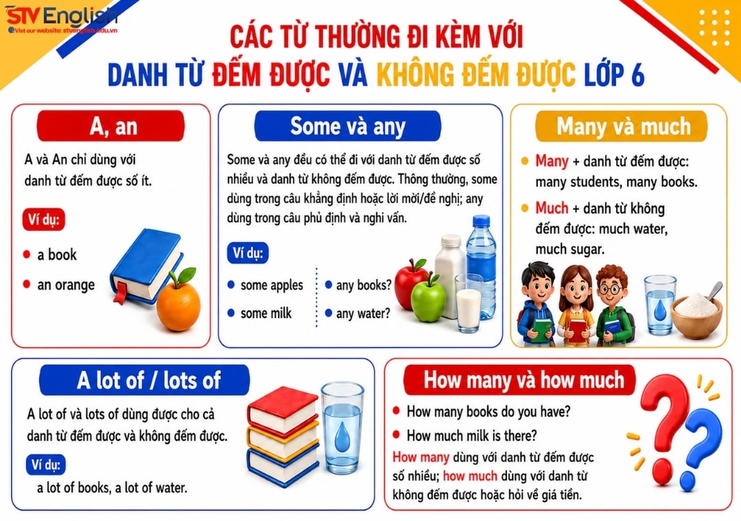 Các từ đi kèm với danh từ đếm được và không đếm được lớp 6 Các từ đi kèm với danh từ đếm được và không đếm được lớp 6