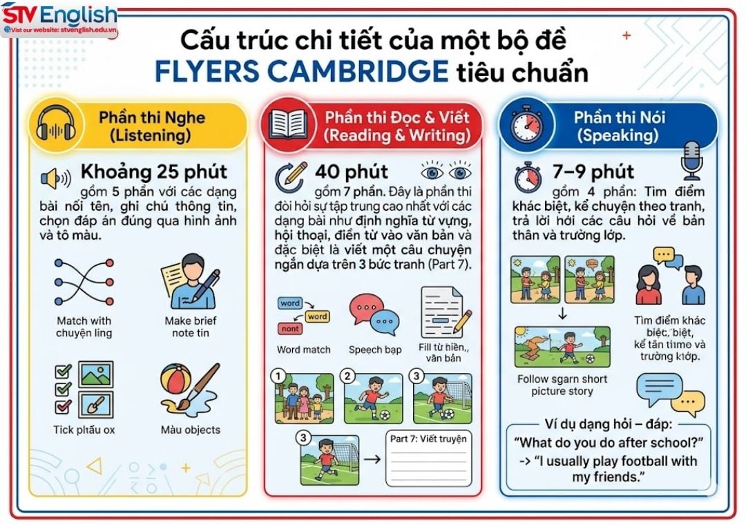 Cấu trúc đề thi Flyers Cambridge 2026 Cấu trúc đề thi Flyers Cambridge 2026