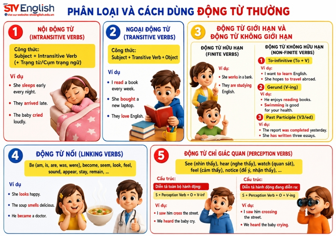 Phân loại động từ thường trong tiếng Anh Phân loại động từ thường trong tiếng Anh
