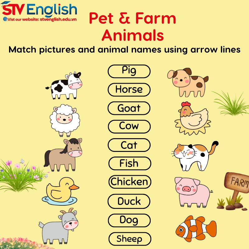 Từ vựng tiếng Anh cho bé 5 tuổi chủ đề động vật Từ vựng tiếng Anh cho bé 5 tuổi chủ đề động vật