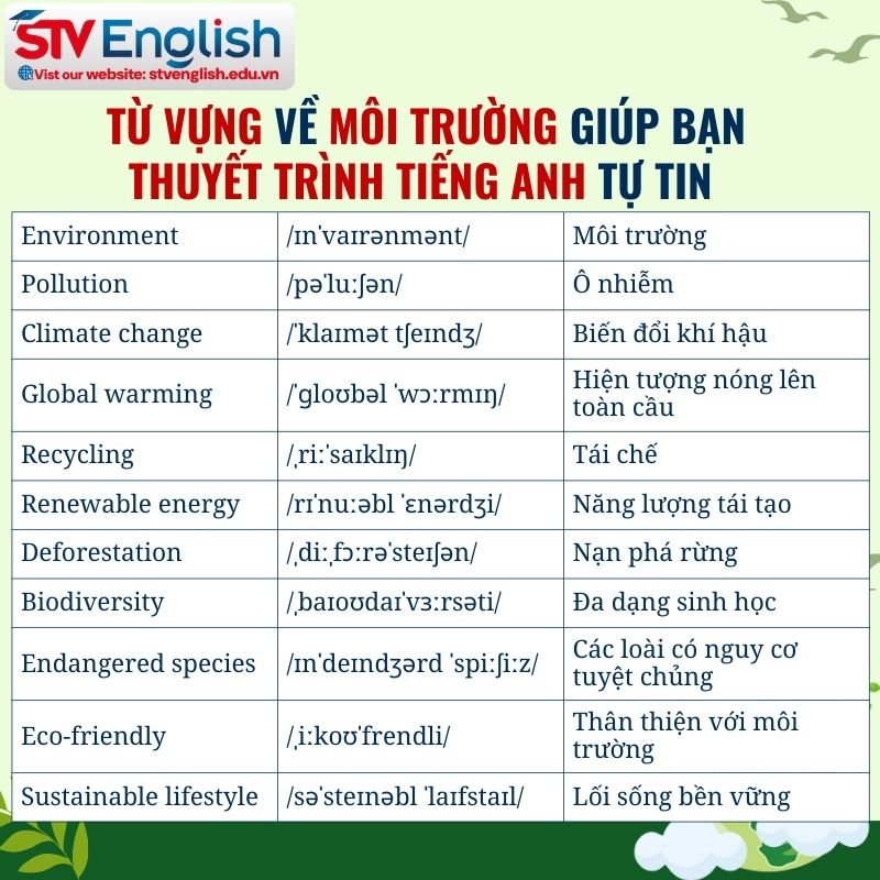 Từ vựng mẫu cho bài thuyết trình tiếng Anh về môi trường Từ vựng mẫu cho bài thuyết trình tiếng Anh về môi trường